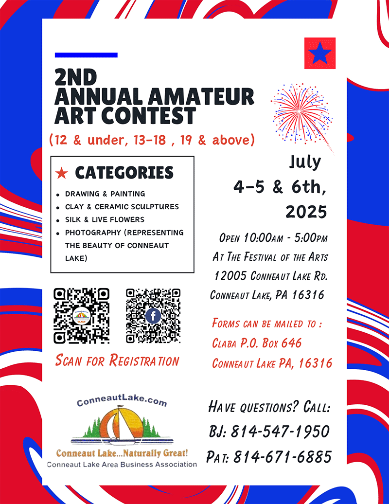 Art Contest info at the Arts Festival